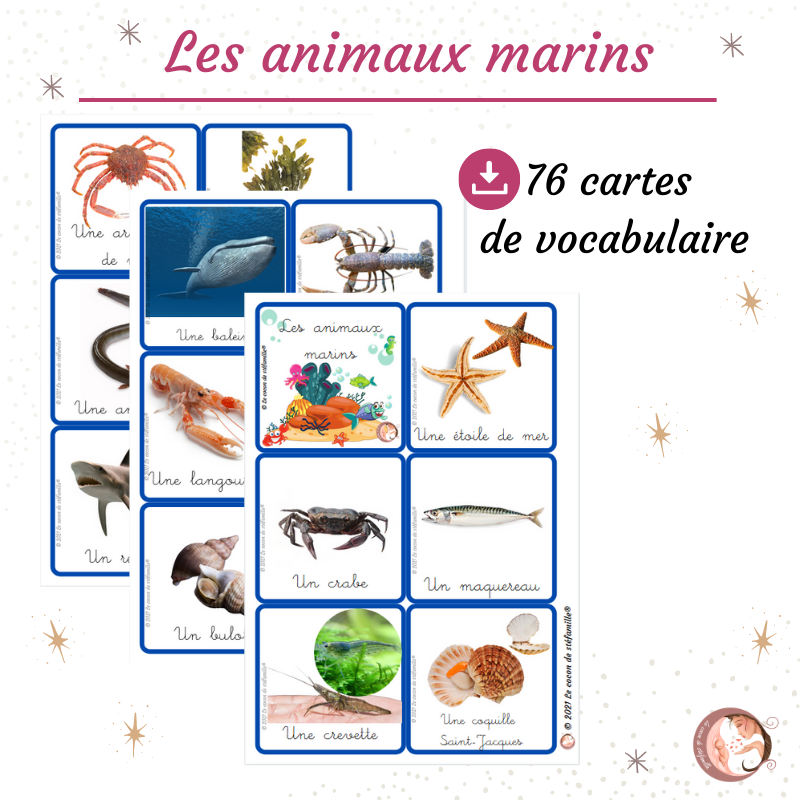 Animaux marins pour enfants en français - Vocabulaire 
