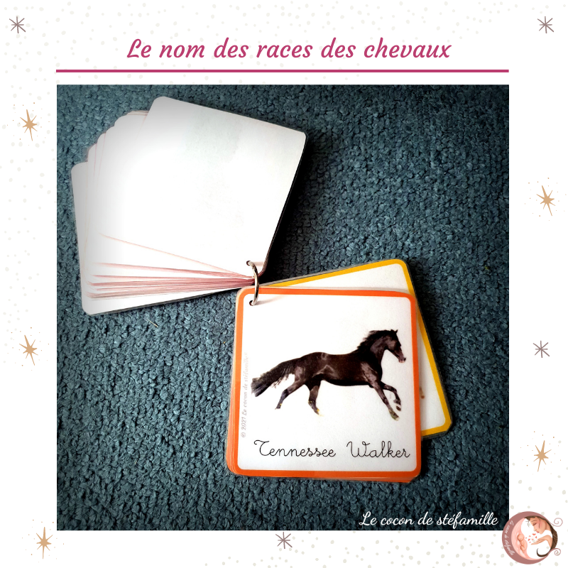 nomenclature races de chevaux