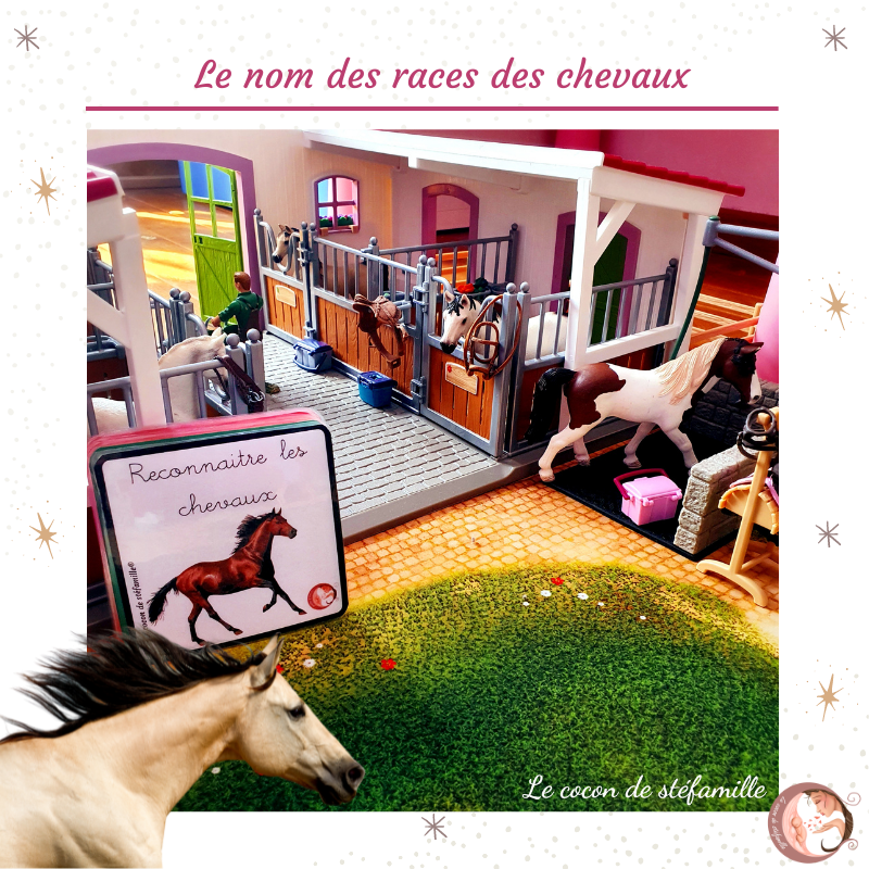 nomenclature races de chevaux