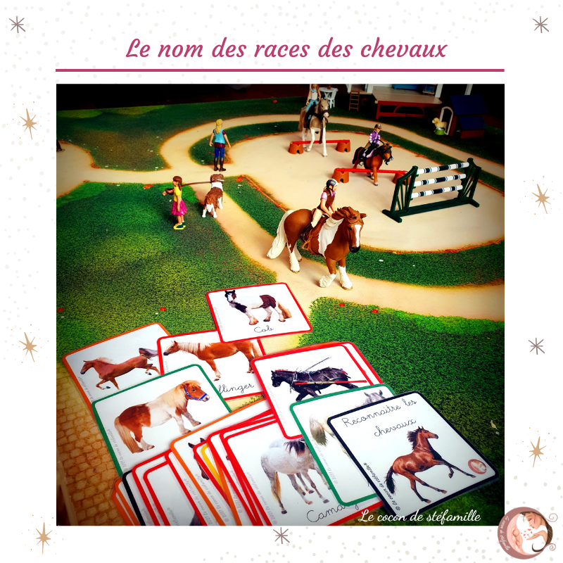 nomenclature races de chevaux