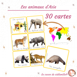 Les animaux d'Asie